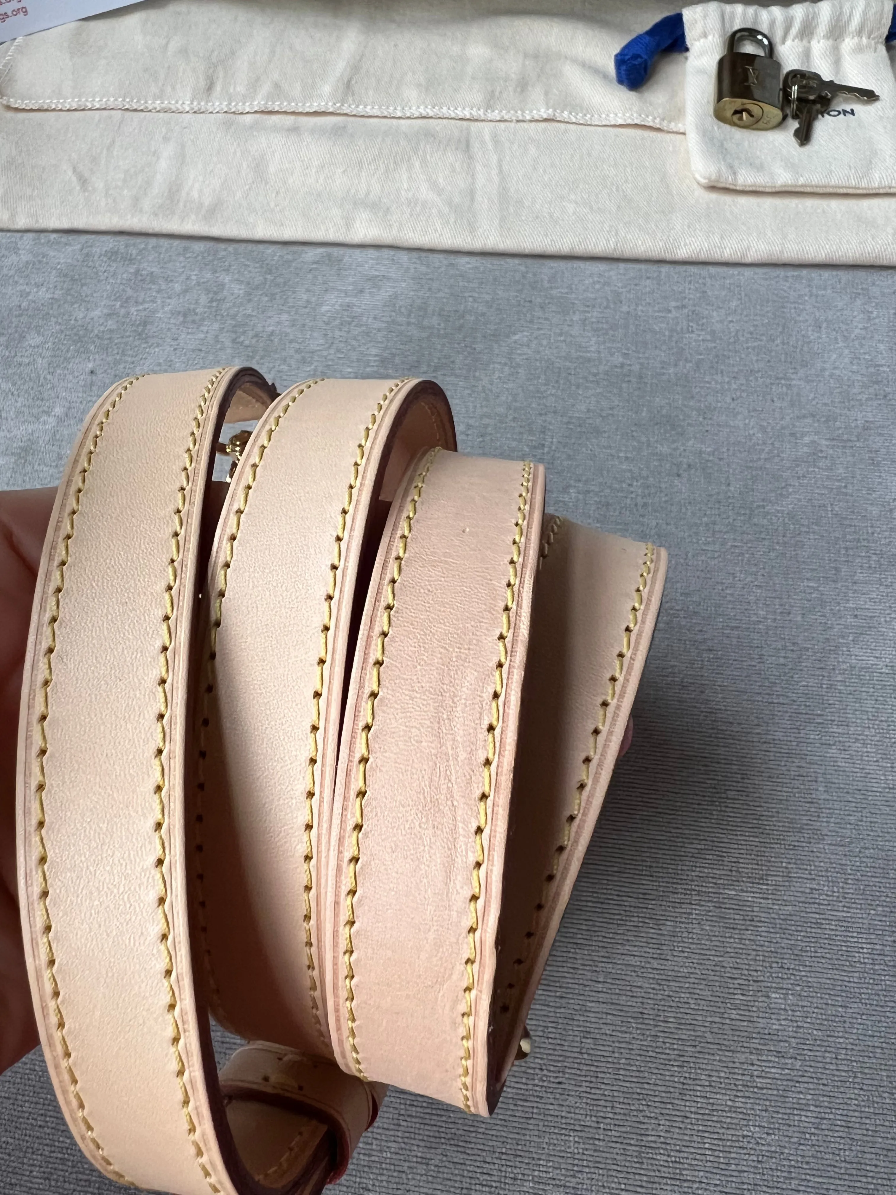 Louis Vuitton Speedy 25 Bandouliere Monogram (RRP £1,420)